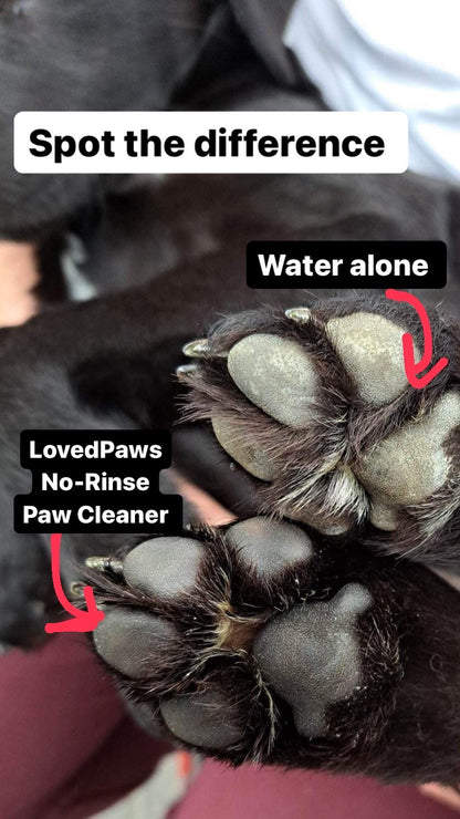 No-Rinse Paw Cleaner